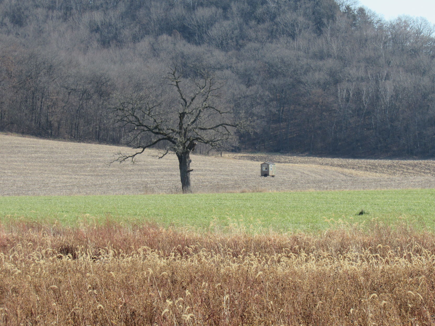 Deer season opener 2020